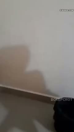 Bokep Indo Tujuan Abg Tamasya Ke Puncak Viral